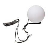 harayaa LED Poi Ball Hand Werfen Ballhand Requisiten Bauch Tanzkugeln Sport Glühpoi