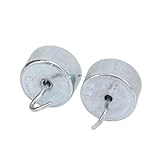 Doppelhaken-Gewichtsset, 2 Stück 10 G Physik-Unterrichts-Hakengewichte, Verchromter Stahl, Doppelgewichts-Set, Doppelhakengewichte für Wissenschaft, Laborbedarf