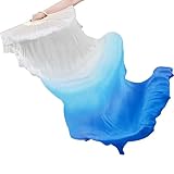 HAOBIN 1 StüCk Bauchtanz FäCher Schleier Bauchtanz TanzfäCher Tanz Fan Bauchtanz Fans Bauchtanz Bambus FäCher SchleierfäCher Tanz FäCher Geeignet FüR Partys,Versammlungen,BüHnenauftritte (blau)