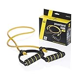 LETSBANDS Let’s Bands Powerband Tube – in 3 verschiedenen Stärken (leicht bis stark), für Ganzkörper-Workouts & Einsatz in Reha/Physio (Leicht)