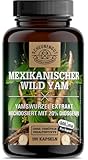 Yamswurzel -1000mg je Tagesdosis- WICHTIG: 10:1 Extrakt (=10000mg mex. Wild Yams) +20% Diosgenin I 180 Yamswurzel Kapseln Hochdosiert + Progesteron I Laborgeprüft -DE- SCHEUNENGUT®