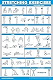 QUICKFIT Übungsposter Stretching Workout – Stretch-Routine (laminiert, 45,7 x 68,6 cm)