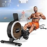 LABGREY Magnetisches Rudergerät, Faltbares Rudergerät für Zuhause mit Bluetooth, 8 Widerstandsstufen, Ultra-leise und Stabil, Maximale Belastbarkeit von 158 kg (R1-Magnetisches)