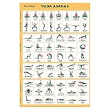 Sportaxis Yoga-Posen-Poster - 64 Asanas für Ganzkörpertraining - laminiertes für Training zu Hause mit farbigen Illustrationen - Englisch und Sanskrit-Namen - 45,7 x 68,6 cm (doppelseitig)