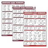 Palace Learning: 3er-Pack Widerstandsbänder Workouts Volume 1 & 2 + Widerstandsschlaufen Poster Set - 3 laminierte Workout-Charts (45,7 x 61 cm)