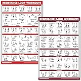 QUICKFIT Widerstandsbänder und Widerstandsschlaufen, Workout-Poster, Set mit 2 laminierten Diagrammen, Widerstandsband-Röhren und Schlaufen, Übungsdiagramme (laminiert, 45,7 x 61 cm), 2 Stück