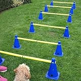LionSports praktisches Steckhürdenset 2024 für Fußball, Hundesport, Pferdesport – Ideales Trainingszubehör, Fußballtraining, Pferd und Hunde - Profi Pylonen Set mit Hürden - Hindernisse Kegel