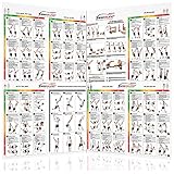 Sling Trainer Übungs Poster 2X DIN A1 Vor und Rückseite Workout Schlingentrainer Buch Faltposter Schlingentraining