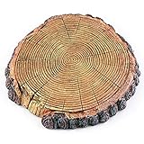 AQUA KT Schildkröten Holz Sonnendock Schwimmende Insel Baumstumpf Schweben Plattform mit Saugnapf für Reptilien Amphibien Terrarien Habitat