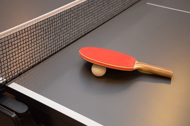 Read more about the article Die besten Tischtennisschläger kaufen
