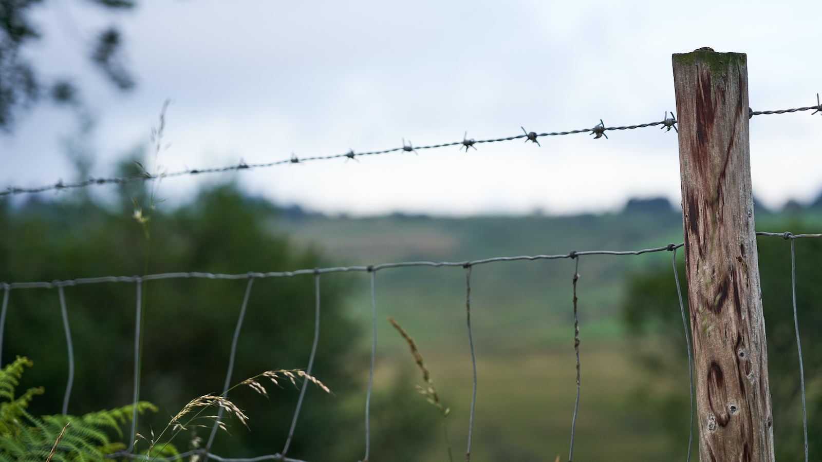 4. ‍Das‌ Ende in Sicht: Wann hört die nervige ⁢Periode endlich⁢ auf?