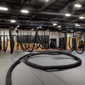 Read more about the article Alles über Battle Ropes: Die ultimative Guide für effektive Workouts